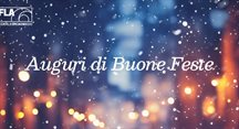 Banner_600x300 natale_G5866